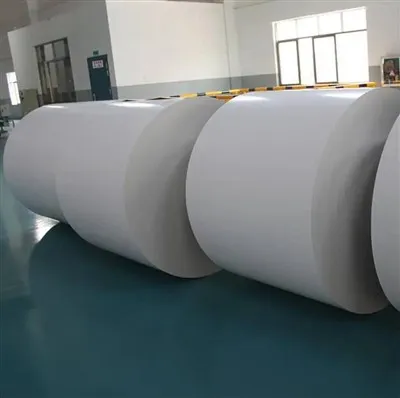 Giấy phân hủy sinh học phủ PLA