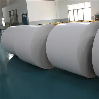 Giấy phân hủy sinh học phủ PLA